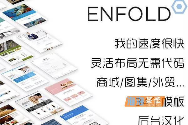 WordPress主题_Enfold主题(解锁版)_WordPress外贸/企业/商城主题_汉化版含教程[v7.1.3]