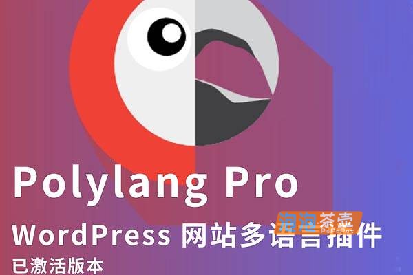WordPress插件_Polylang Pro（解锁版）_WP多语言插件+WooCommerce功能_V3.7.5